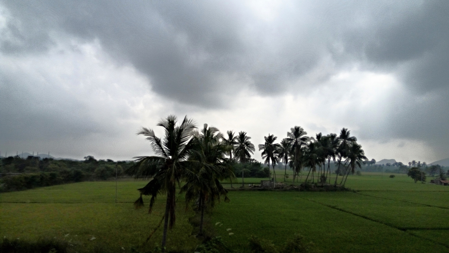 View Fields by Bullyboy Shammypapa