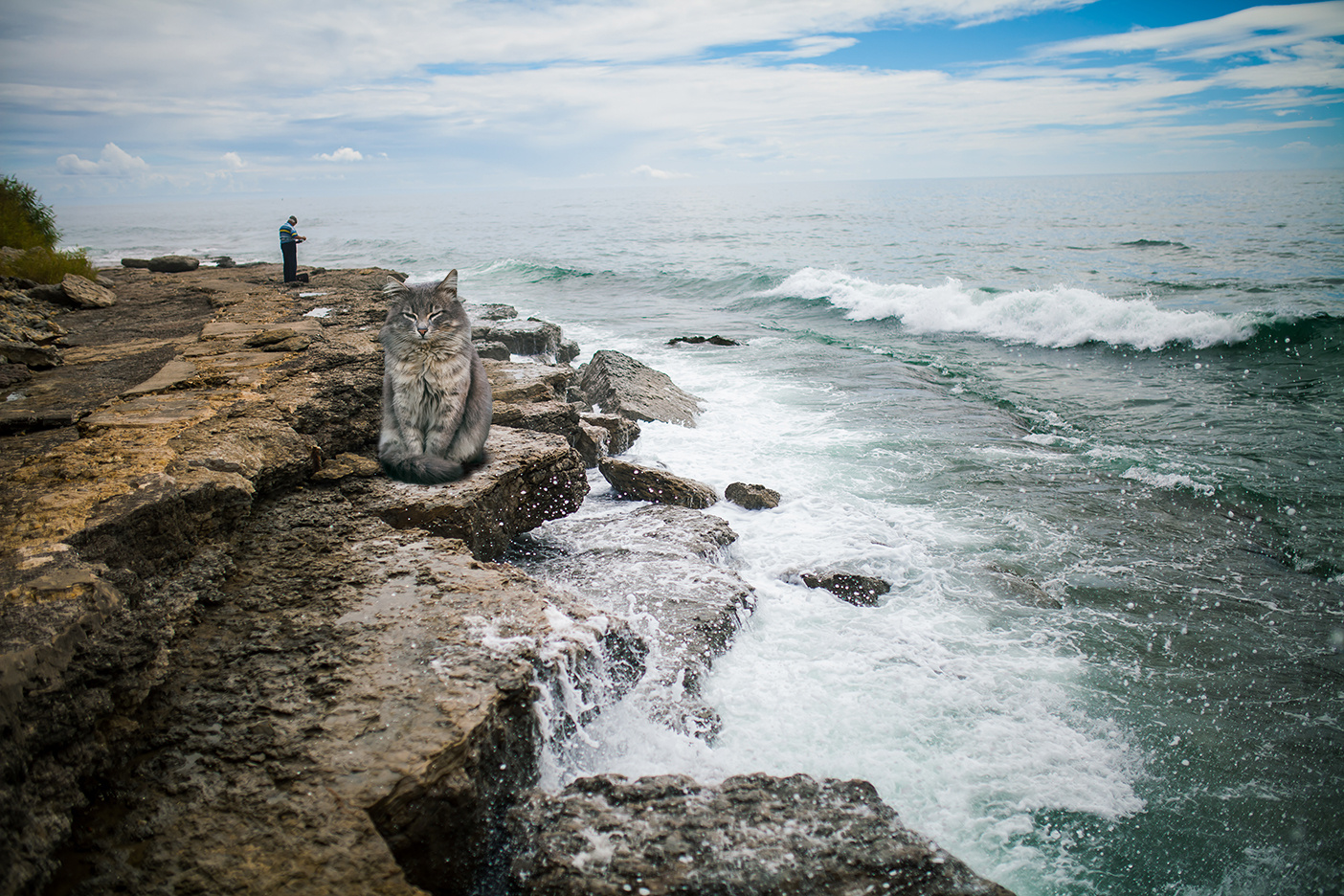 View the old man and the sea. by Oleksandr Gontar