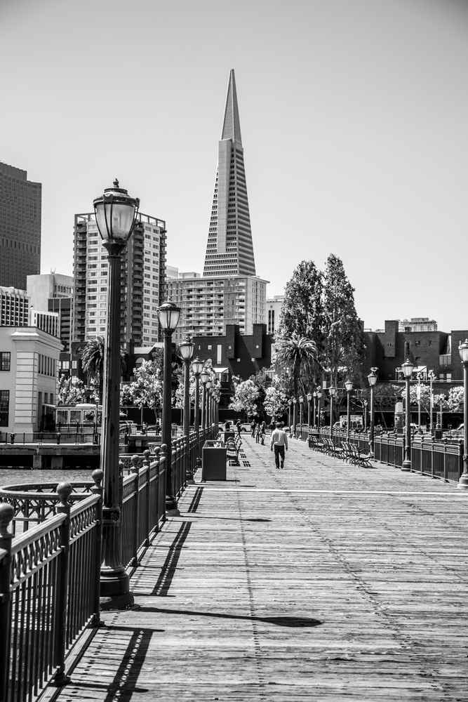 View San Francisco Waterfront in Black and White by Lev Kaytsner