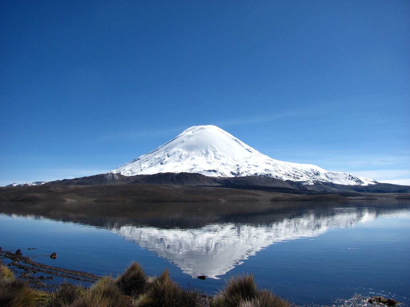 View Lauca National Park - Chile by Jill Willis
