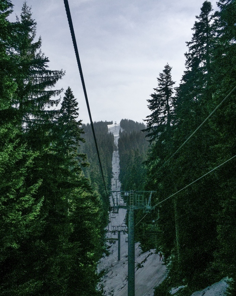 View Tree tunnel II by Ryan May