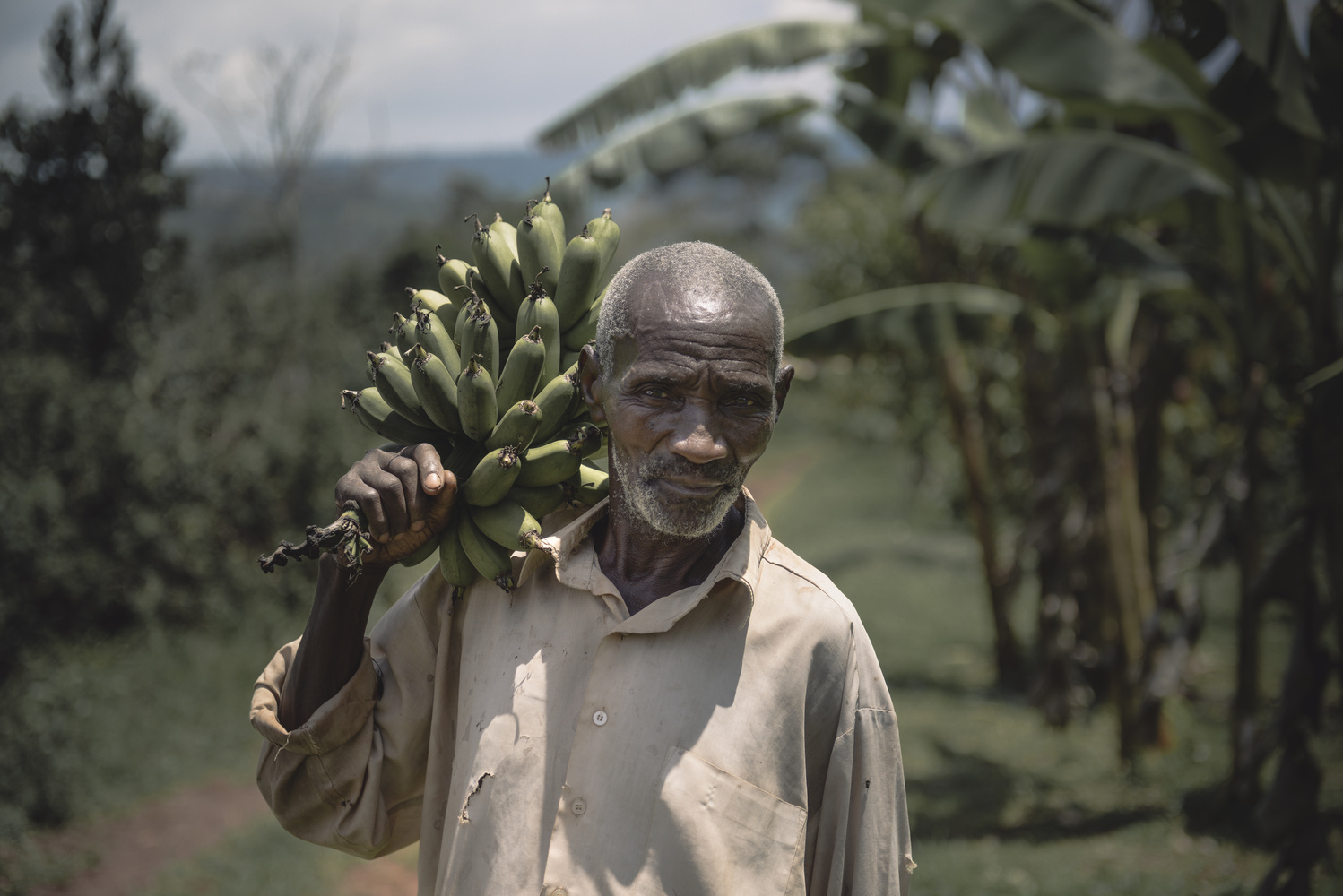 View The Banana farmer by bernard de clerk