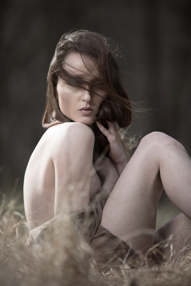 View Jane by Steve Day
