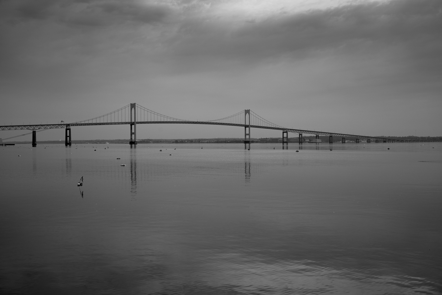View Newport Bridge by Timothy Guilbeault