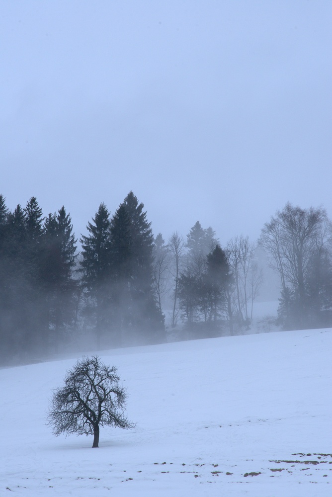 View Untitled 9 by Jeena Paradies