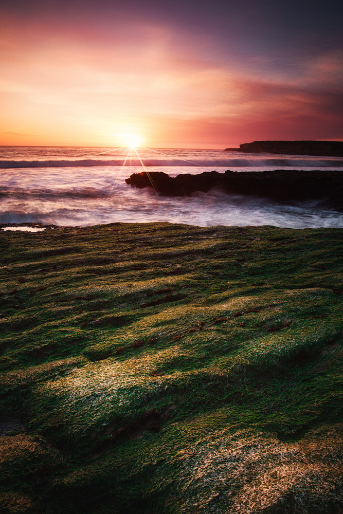 View Glow of Glory by Vijay Sridhar