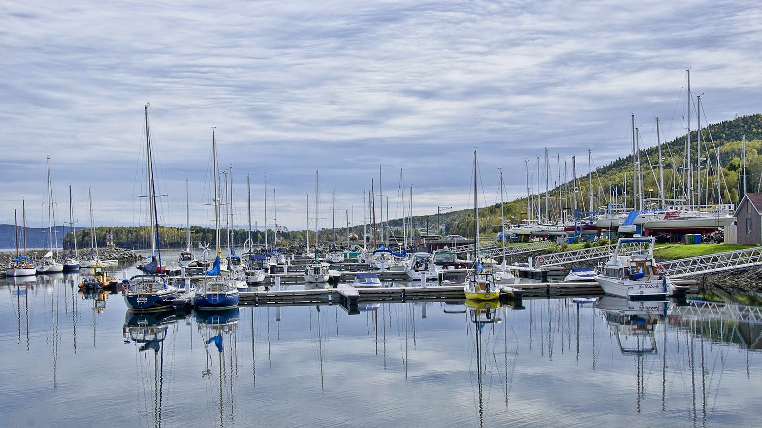 View Quiet Harbor by Robert Waites