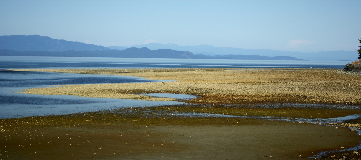 View Vancouver Island by Robert Waites