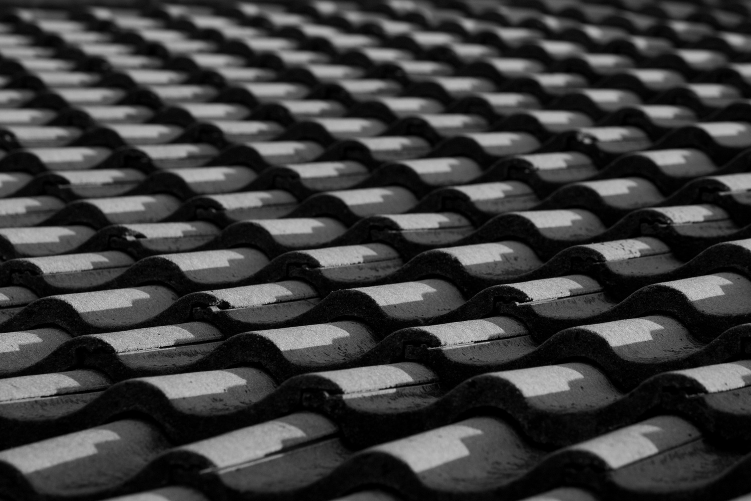 View Untitled 8 by Ken Stavrou