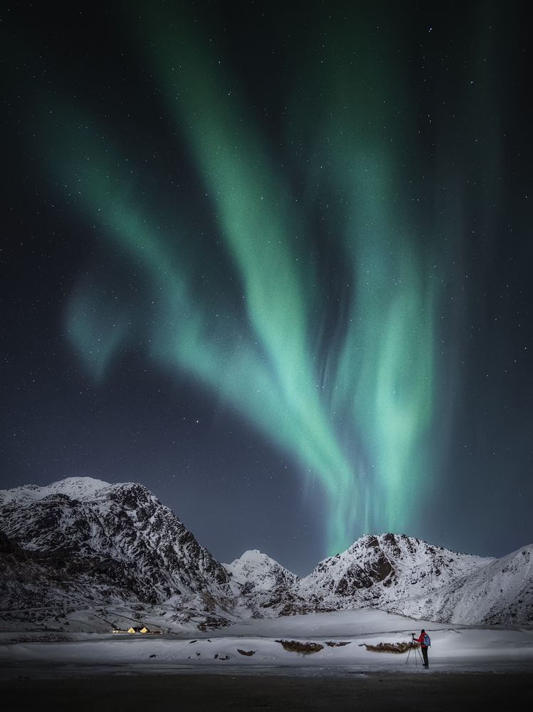 View Untitled 12 by Aritz Atela