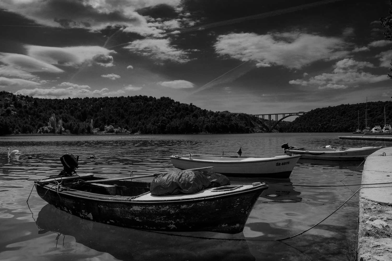 View Boats in Skradin Harbour, Croatia by Michael Scott