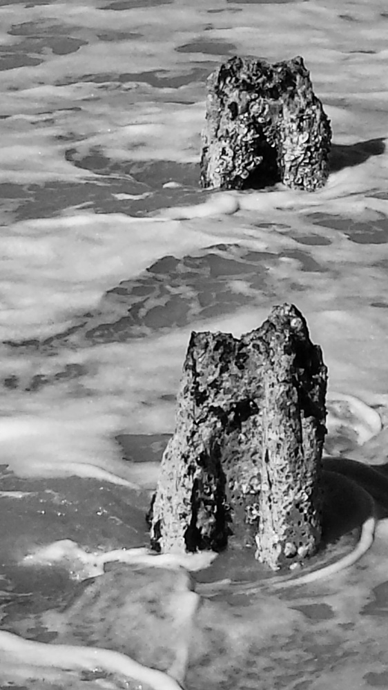 View Between Two by Kinda Bush