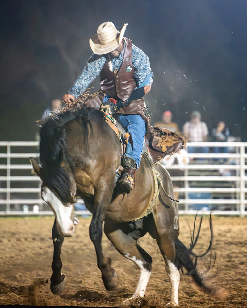 Rodeo rider in western attire on bucking horse during competition