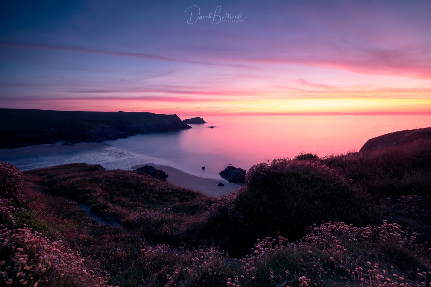 View Untitled 1 by David Butterell