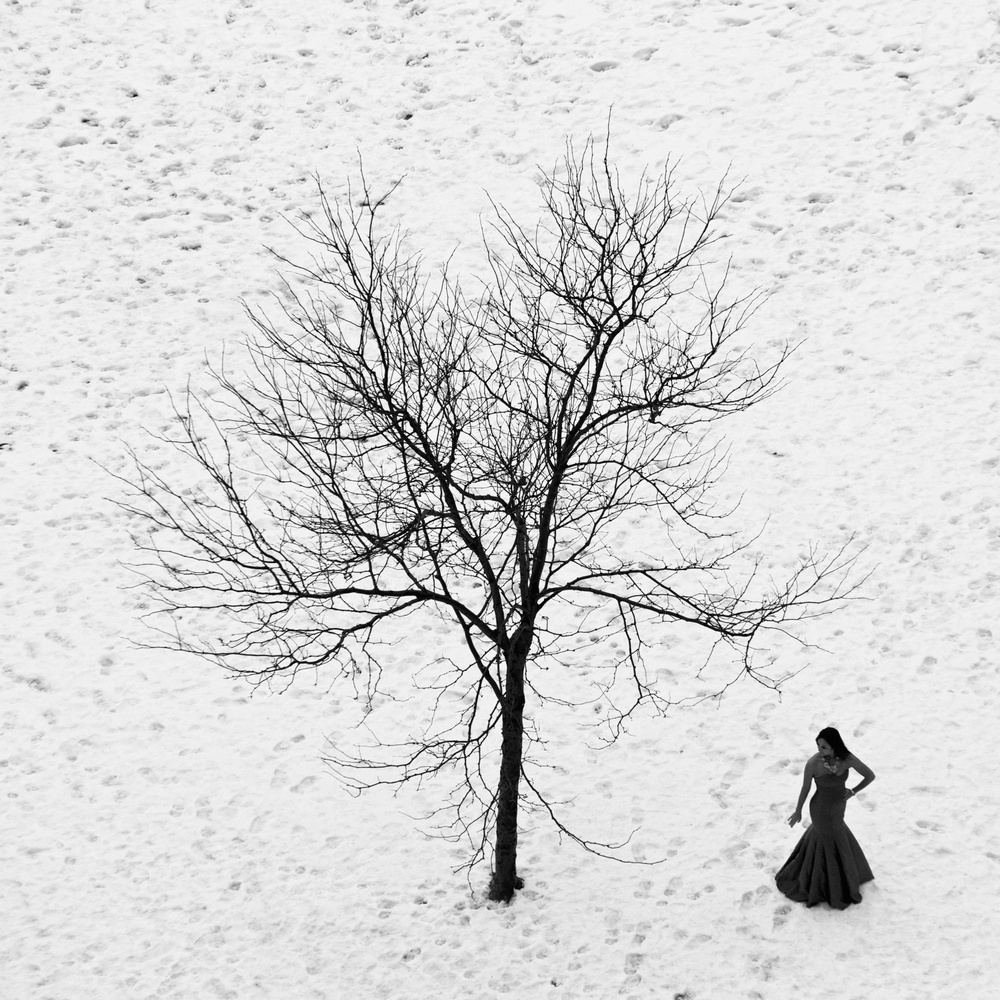 View Untitled 4 by Michael Comeau