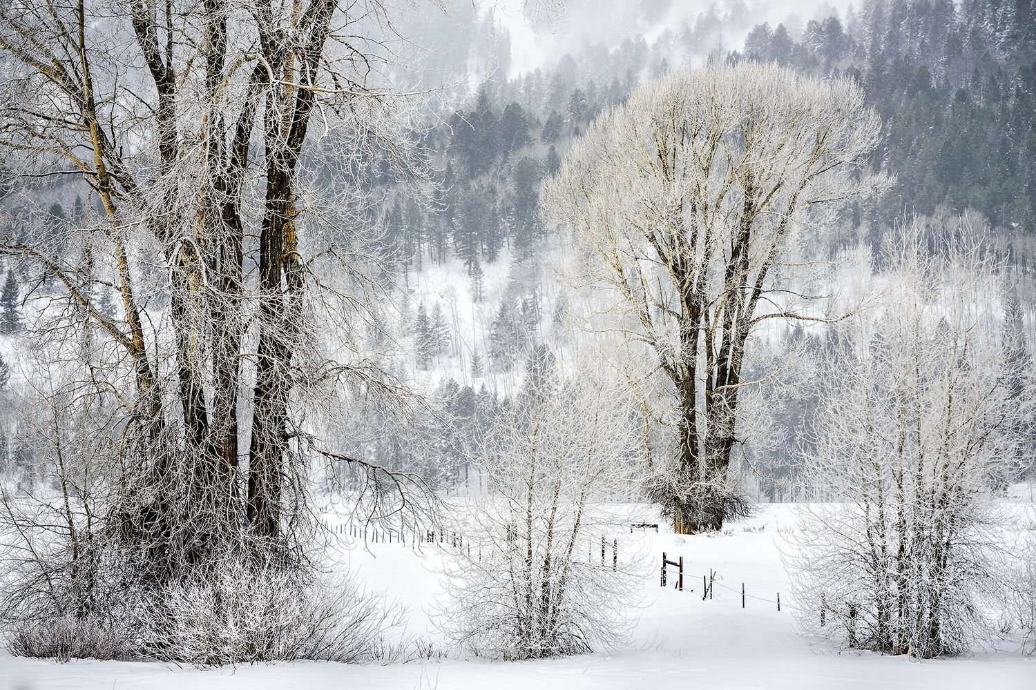 View Untitled 2 by Glenn Johnson