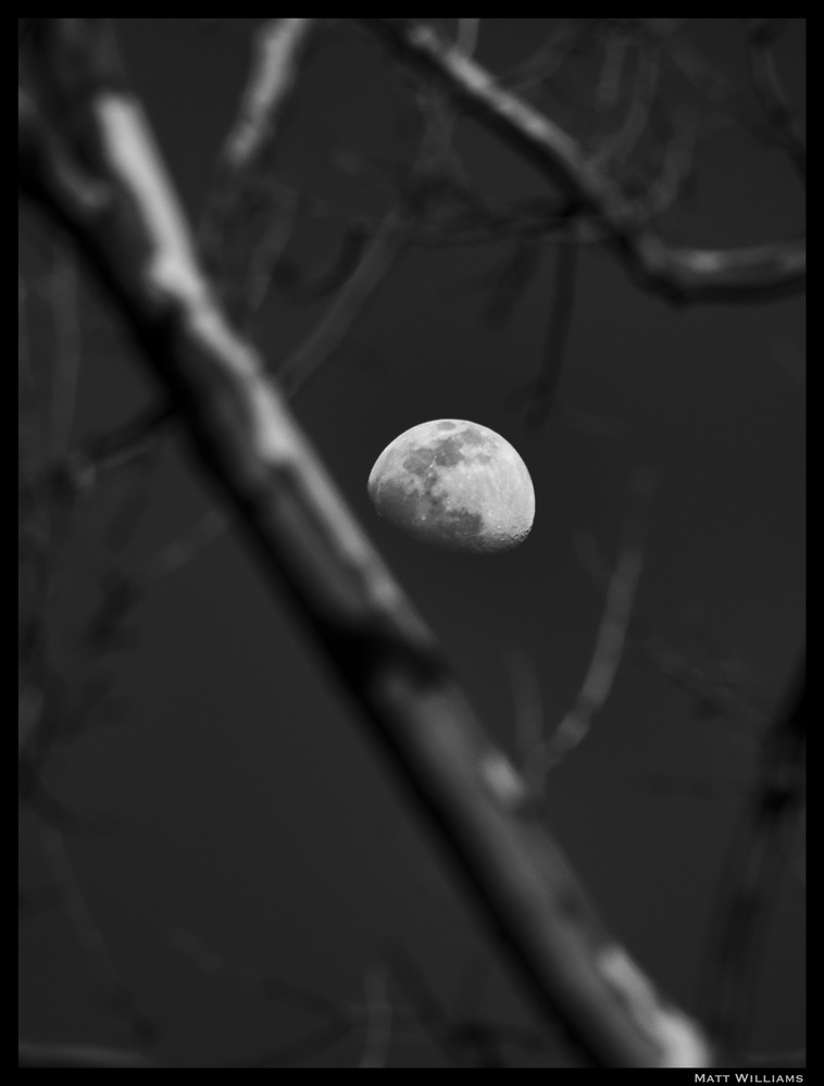 View Untitled 1 by Matt Williams
