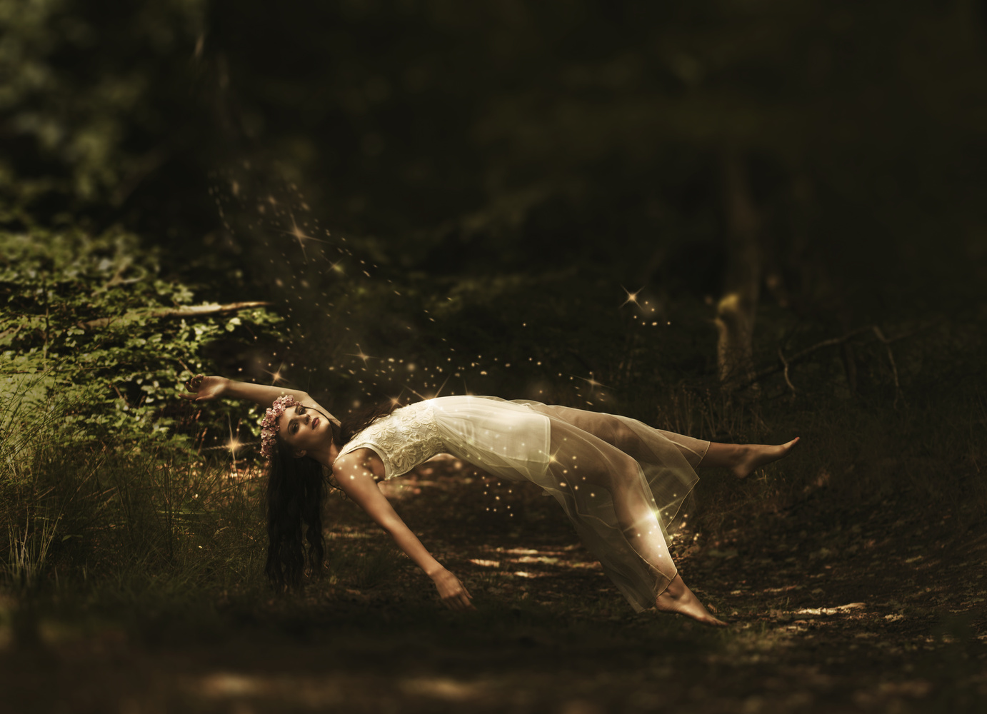 View Levitation in the woods by Andreas Christaki