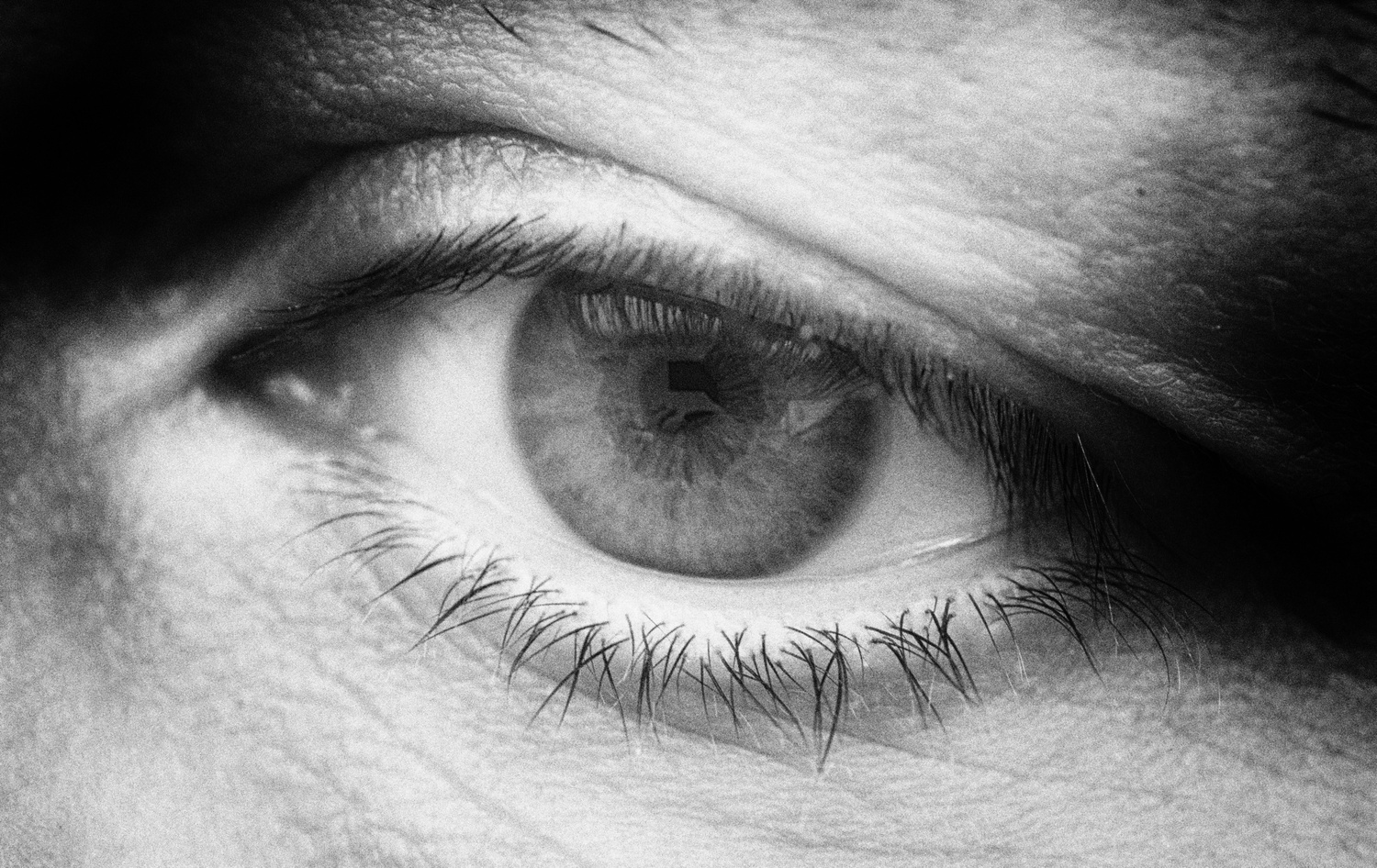 View Eye by Helena Johansson