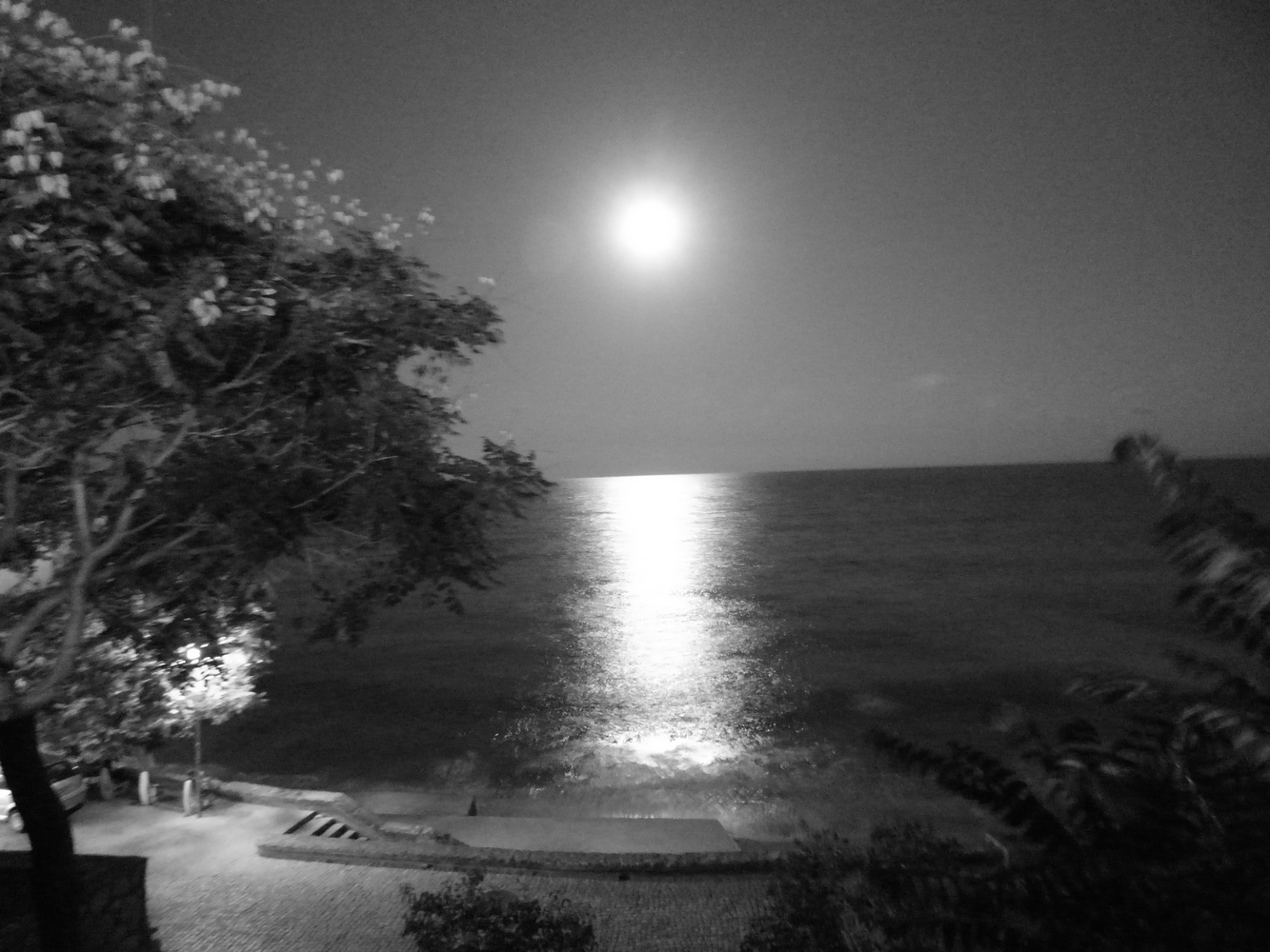 View Full moon at sea side by Blaga Dimitrova