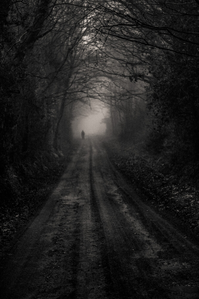 Solitary figure walking down a tree-lined dirt road shrouded in fog