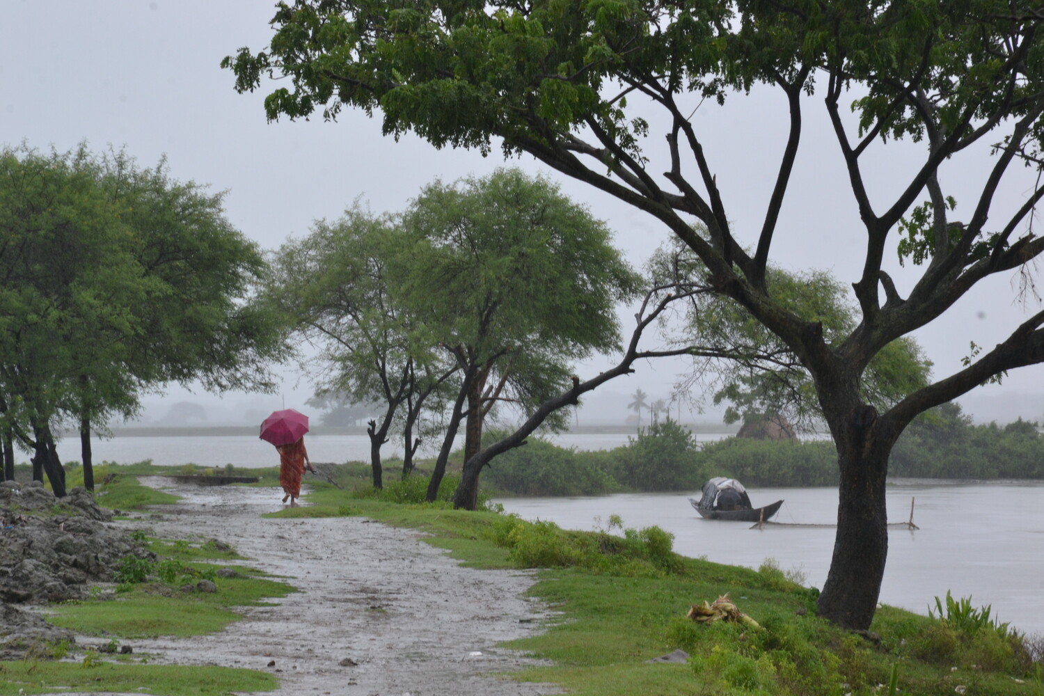 View Untitled 6 by Chinmoy Biswas