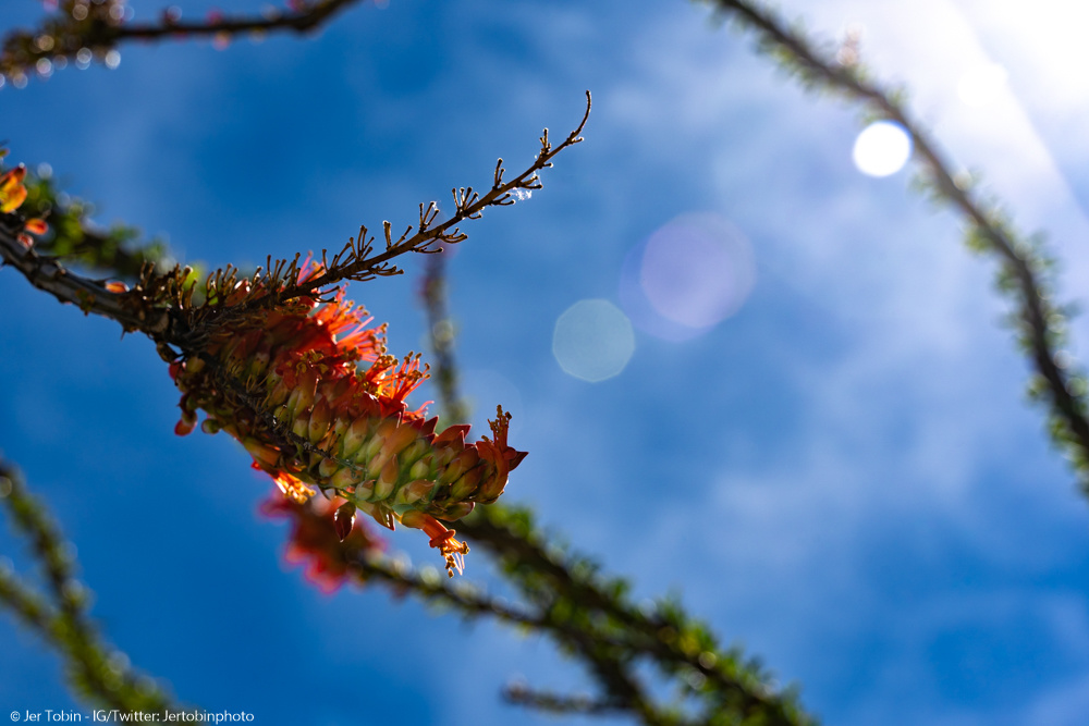 View Untitled 2 by Jer T.