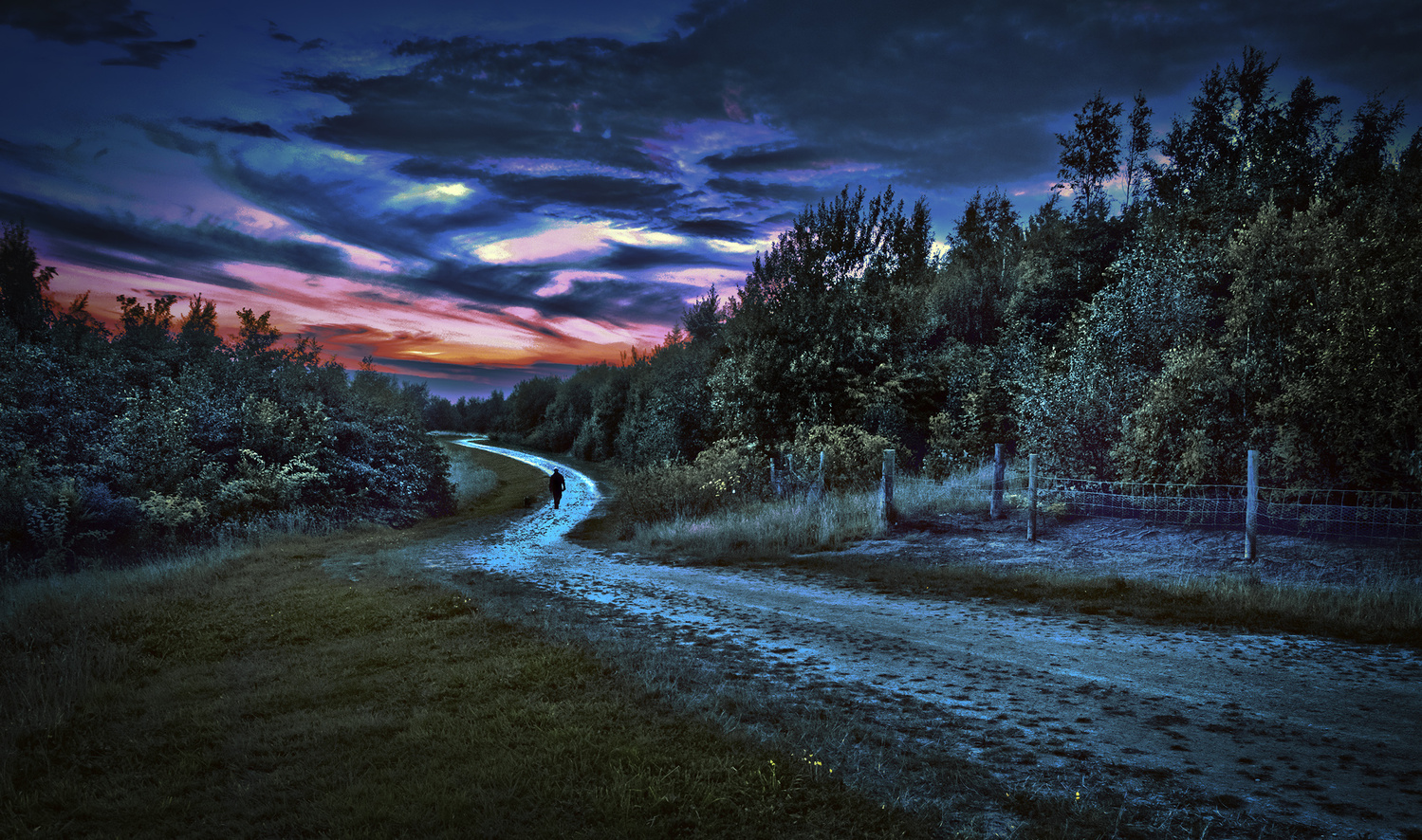 View The long and winding road. by Steve Hall