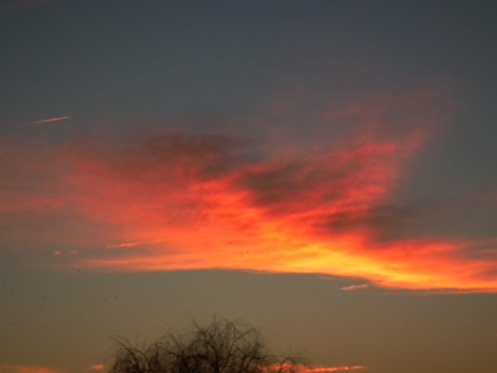 View " DAWNS EARLY LIGHT " by joachim werner