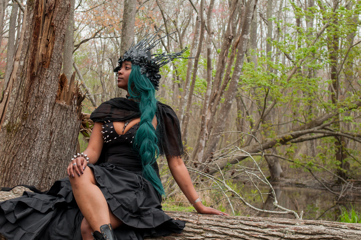 View Her Throne by Ida Payne