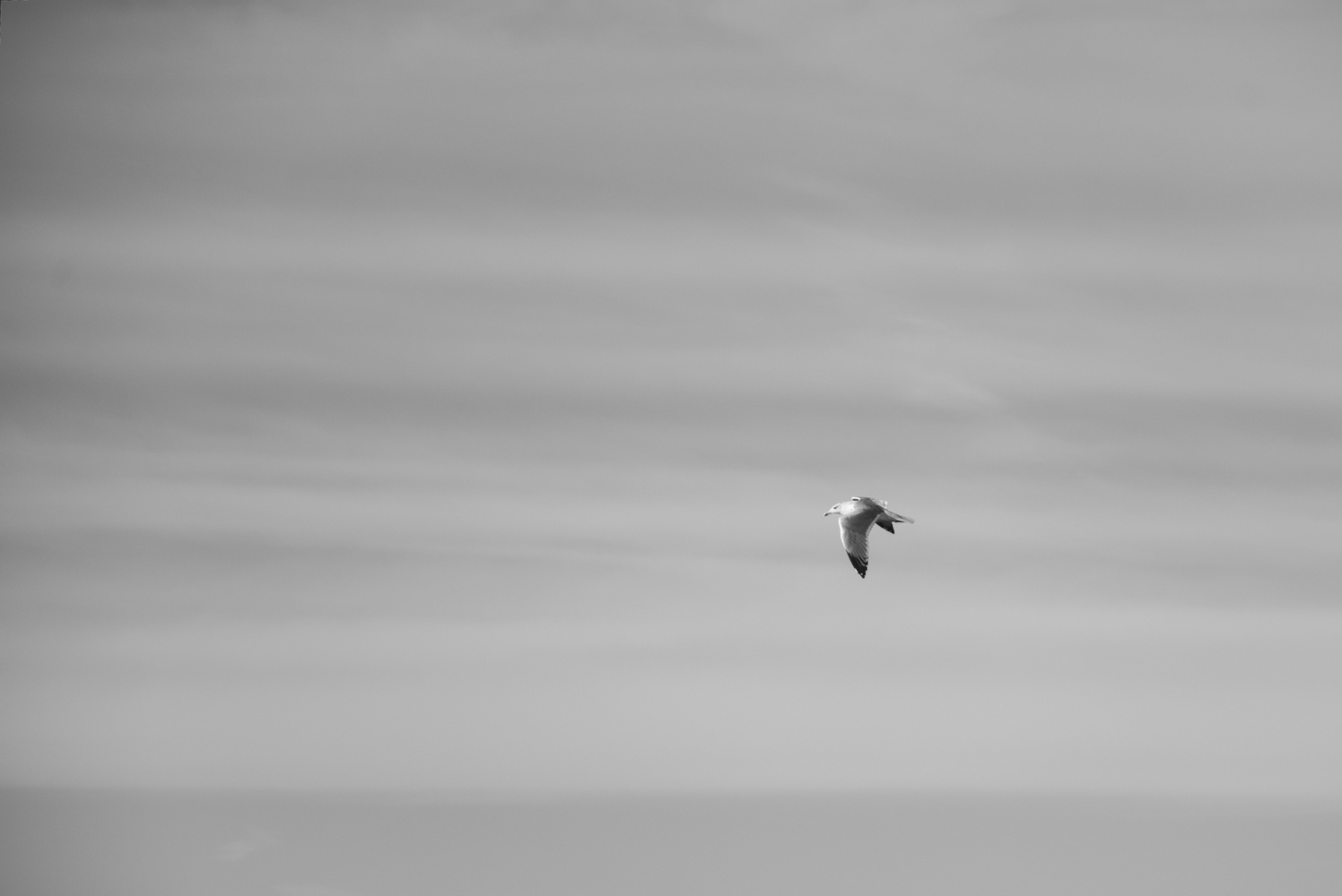 View Untitled 1 by Tim De Pooter