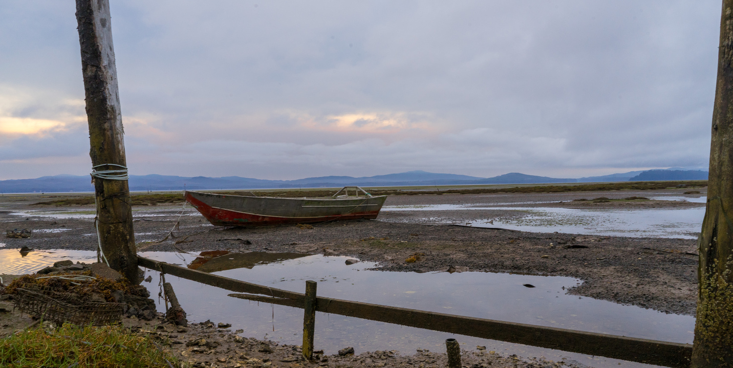 View Willapa Bay, WA by Keith Calandro
