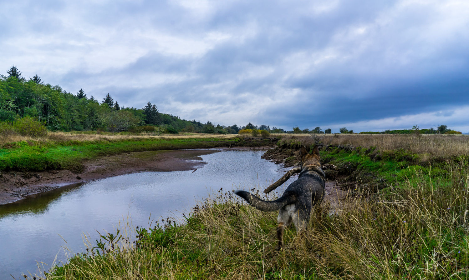 View Da branch manager by Keith Calandro