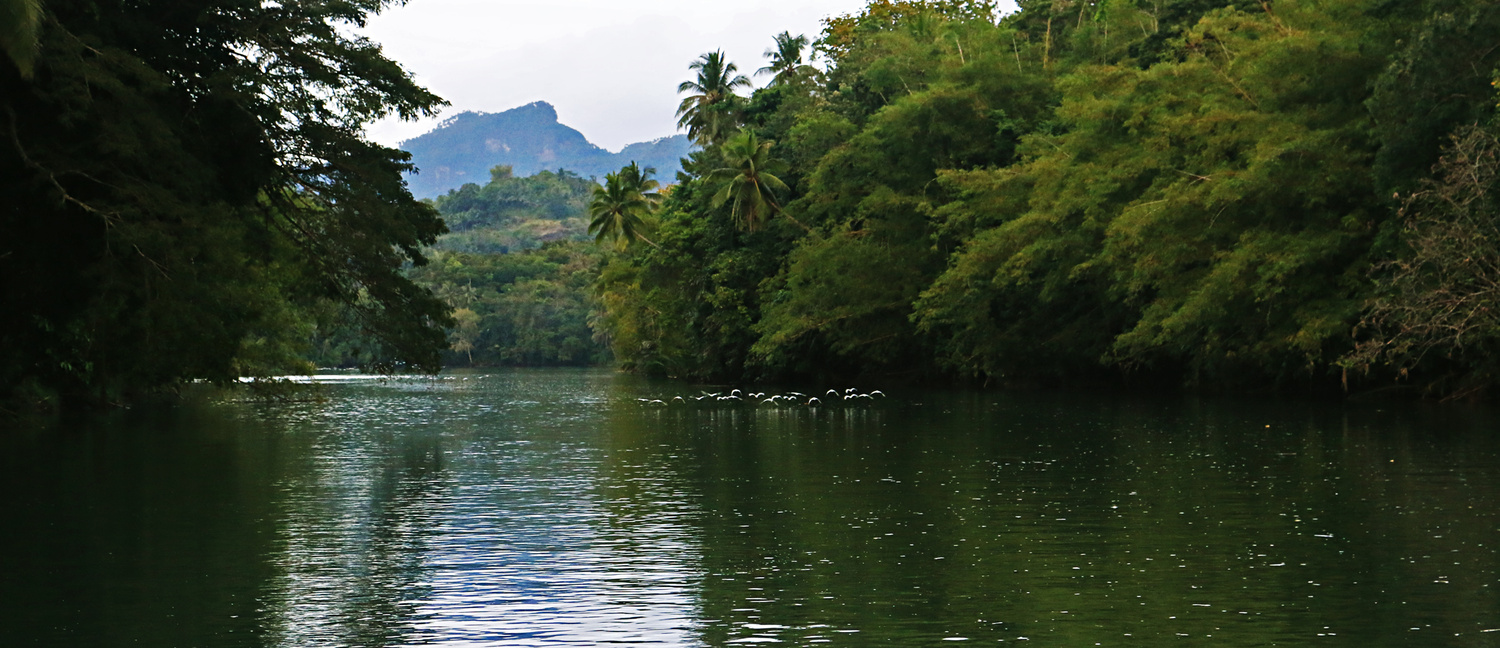 View Dapitan River by Rio Ubatay