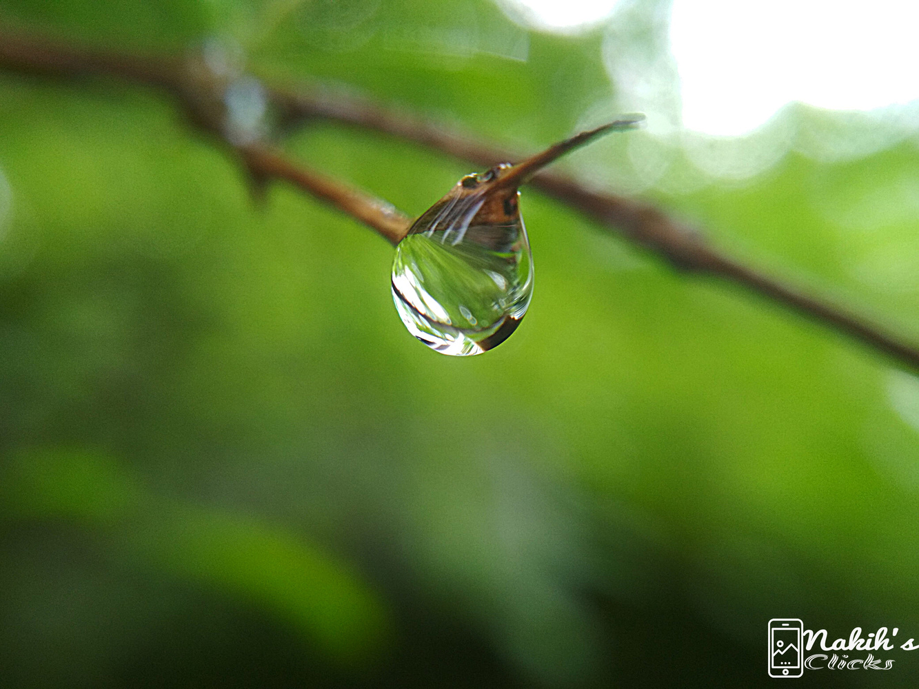 View Rain drop water by Saifullah Nakih