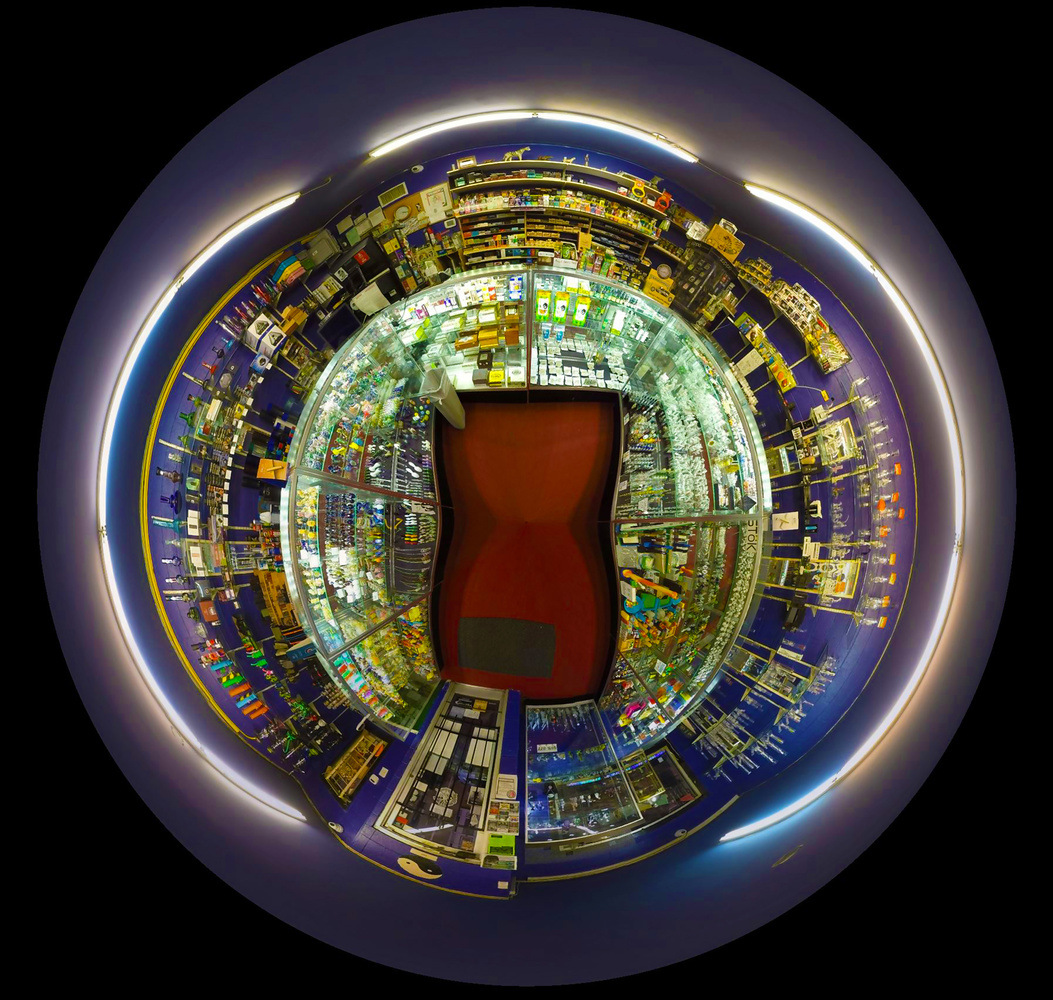 View Zebra Head Shop by Stephen Morriss