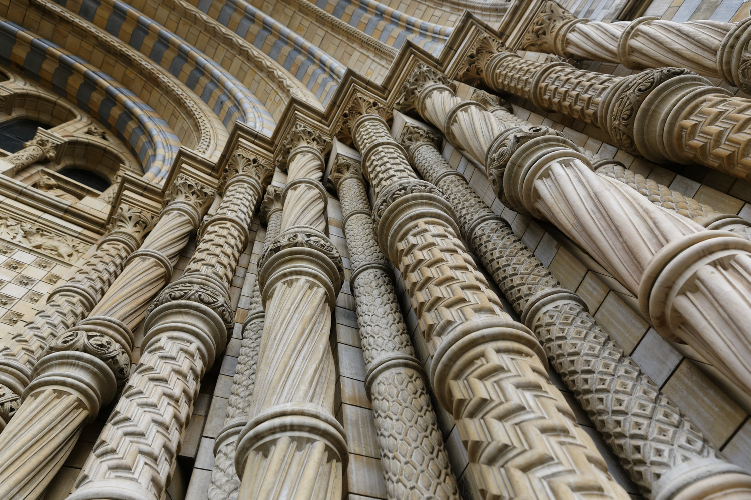 View Natural History Museum by Laszlo Kollar