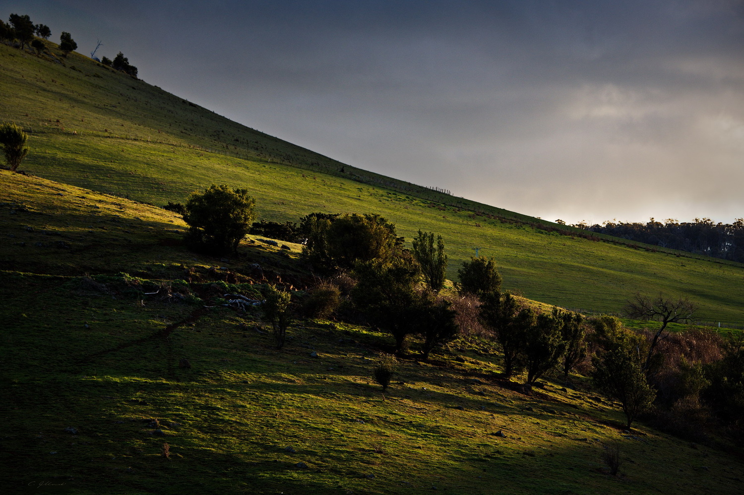 Elderslie, Tasmania. Chris Jablonski on Fstoppers