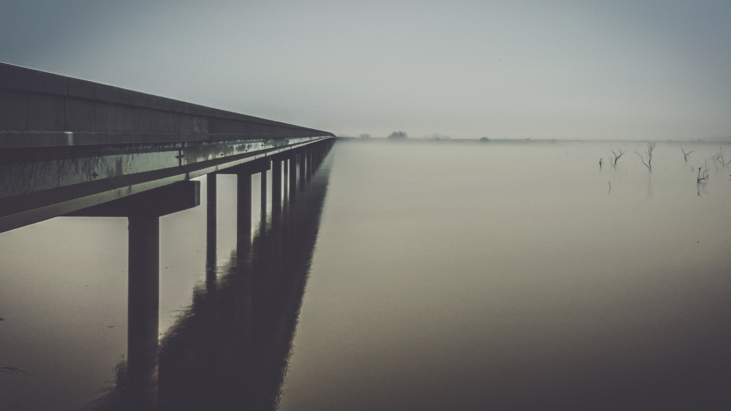 View Bridge with Fog by Jason Porter