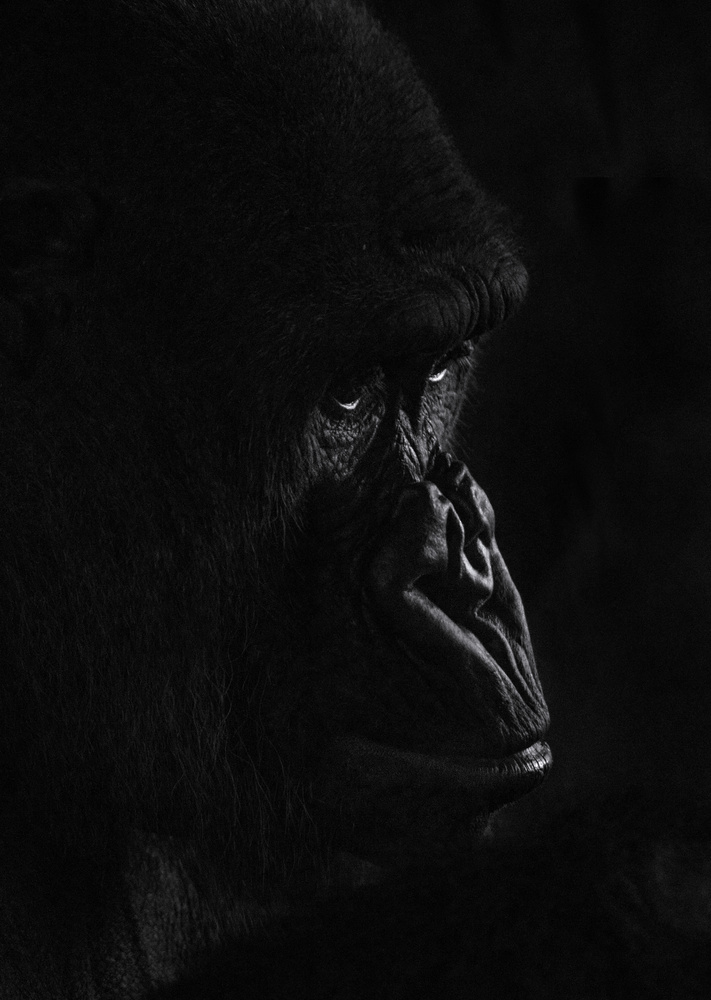 View Untitled 9 by Luke Seow