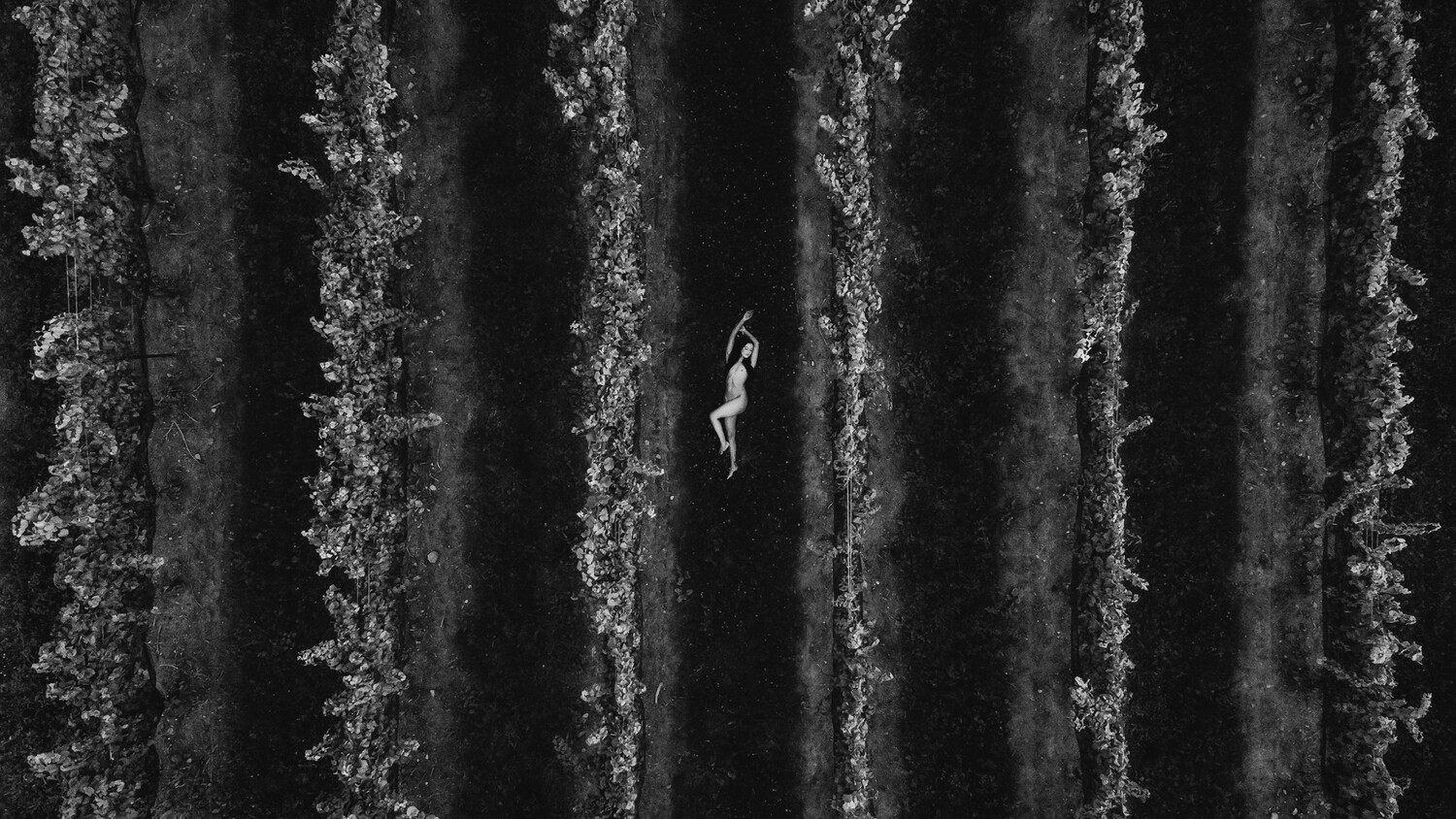View Untitled 34 by Robert Deak