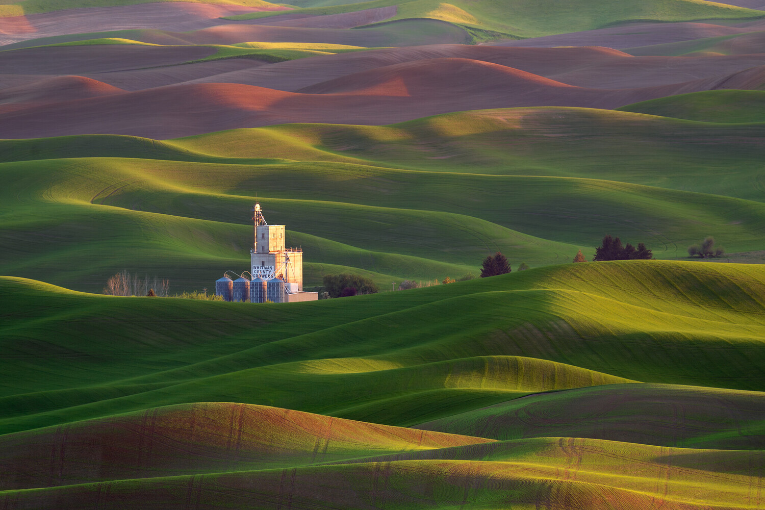 View Untitled 7 by Jeremy Mosher
