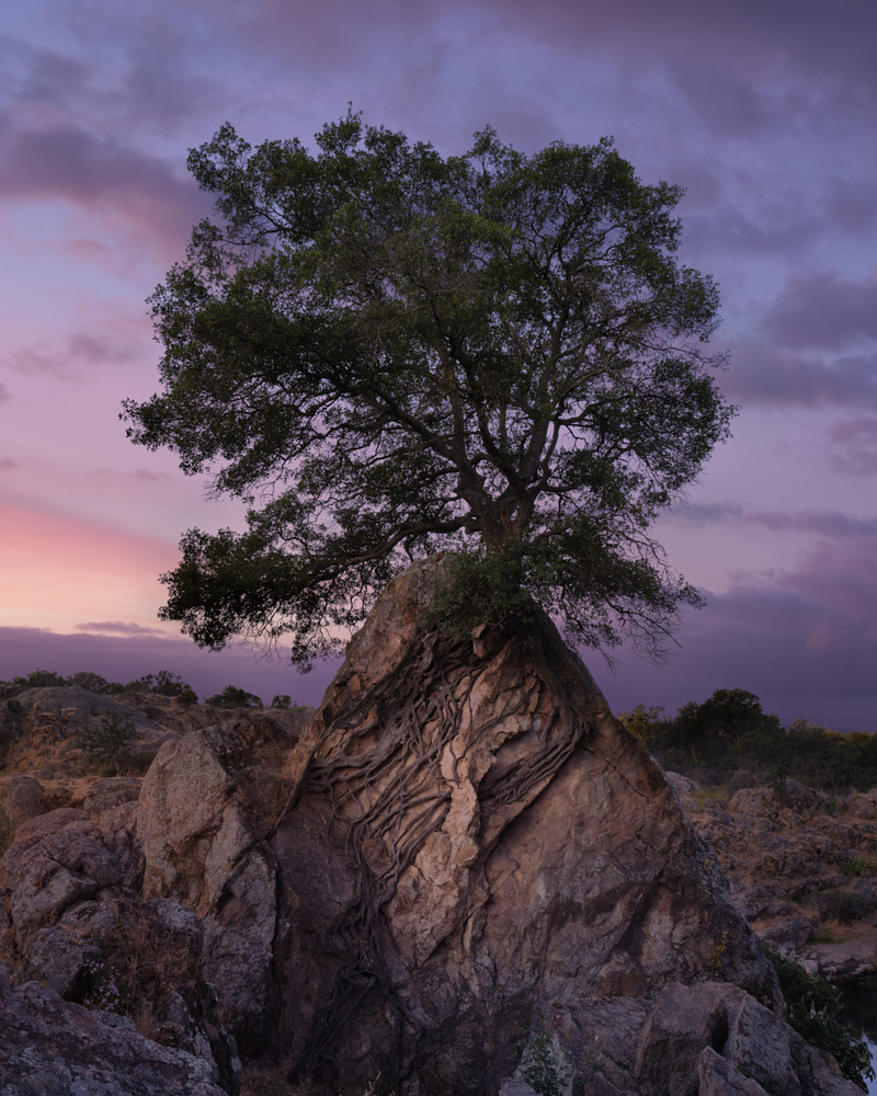 View Untitled 18 by Ryan Luna