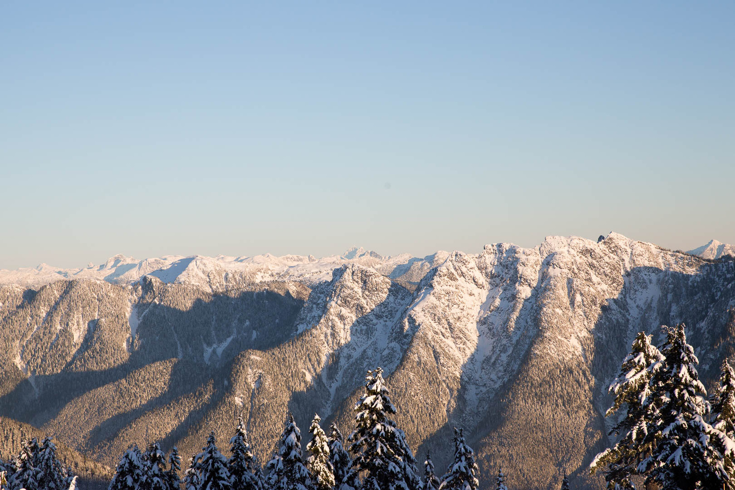 View The Backbone of Lifes adventures by Rory Coomey