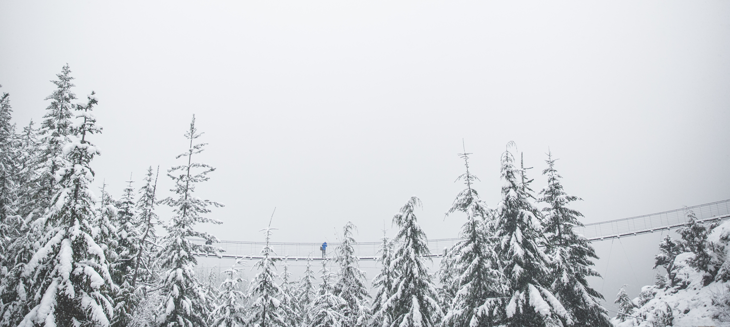 View You are Nature by Rory Coomey