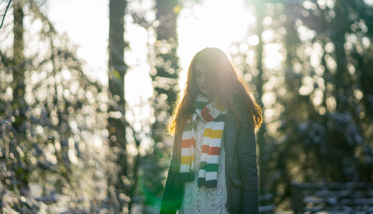 View A walk through the woods by brian walsh
