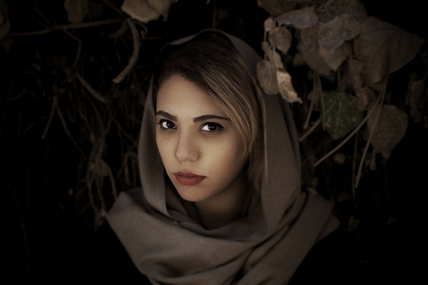 View Untitled 3 by dani moti