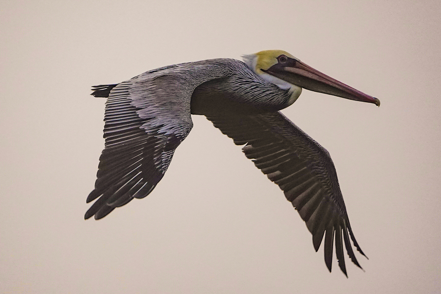 View 600mm handheld by Chris Christian
