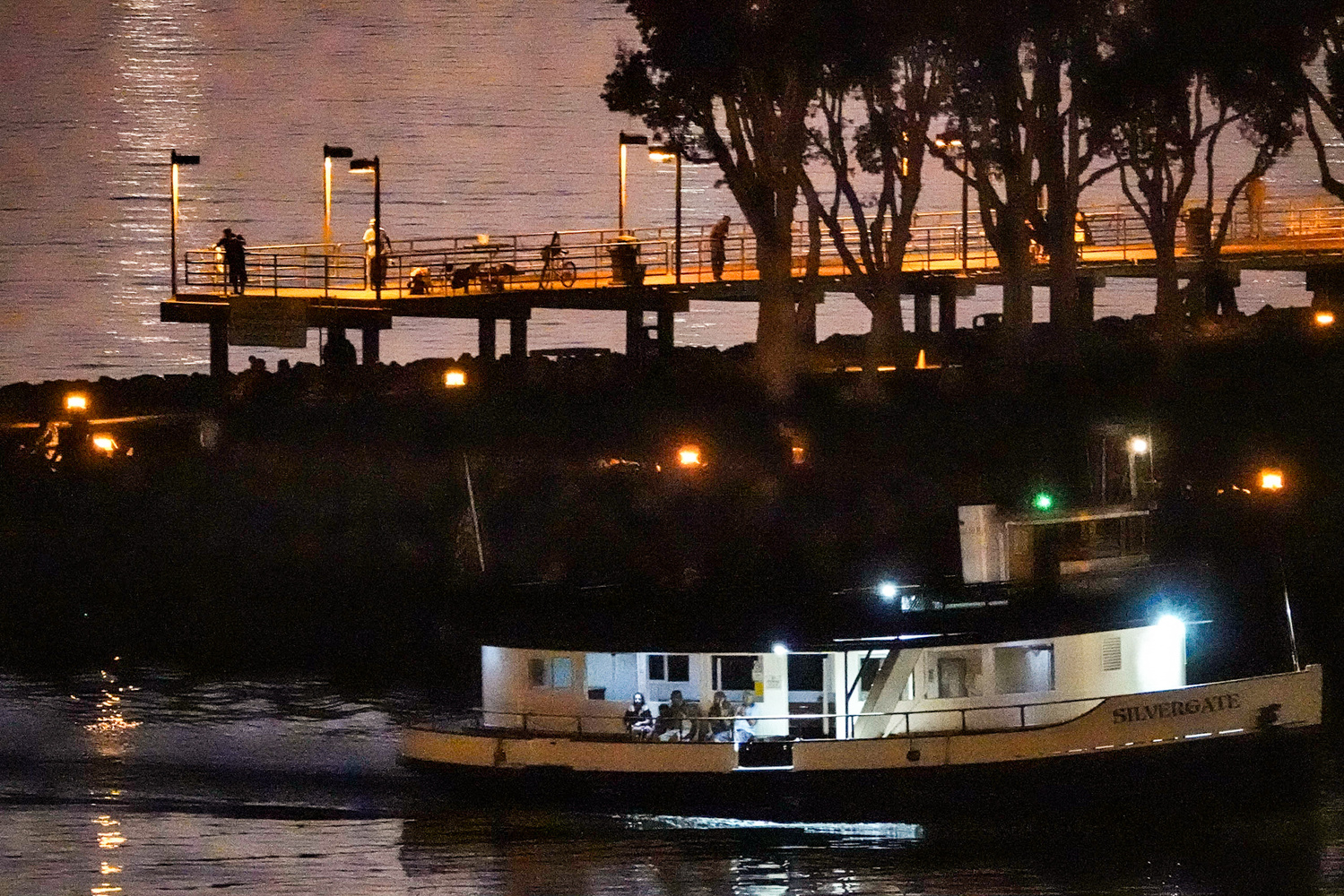 View 600mm handheld night by Chris Christian