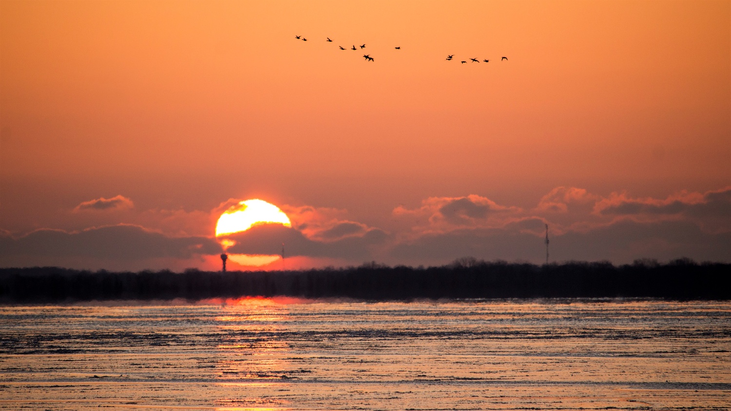 View Presqu'ile Sunrise by Chris Knox